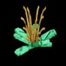 Baby Cactus produce
