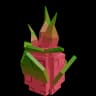 Dragon Fruit produce