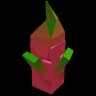 Dragon Fruit seed