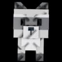 Raccoon pet